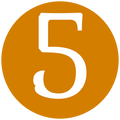 the number 5