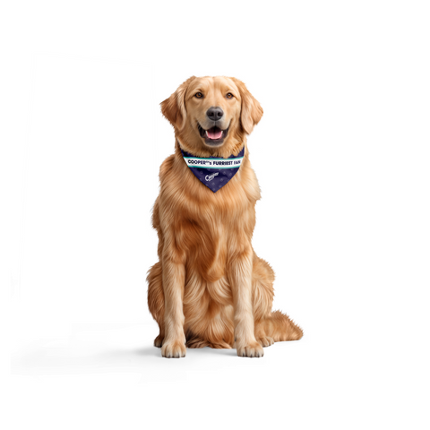 Cooper Sharp Pet Bandana Collar - The Furriest Fan