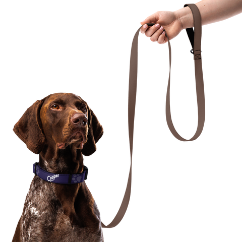 Cooper Sharp Pet Collar - "Paw"fectly Cheesy